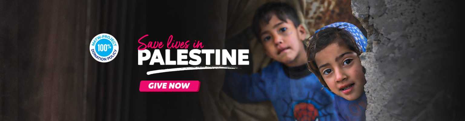 What Can I Do to Help Palestine? - MATW Project