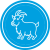 Qurbani 2025